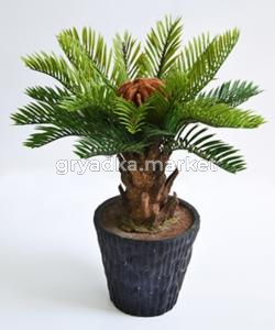 Саговая пальма в кашпо h-45 см(CH08101457-green) -12