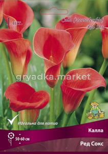 Калла Ред Сокс