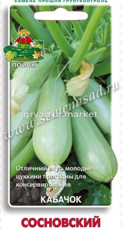 Кабачок Сосновский 12шт (Поиск)