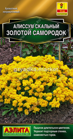 Алиссум Золотой самородок ---   Мн Золотая серия 0,1г