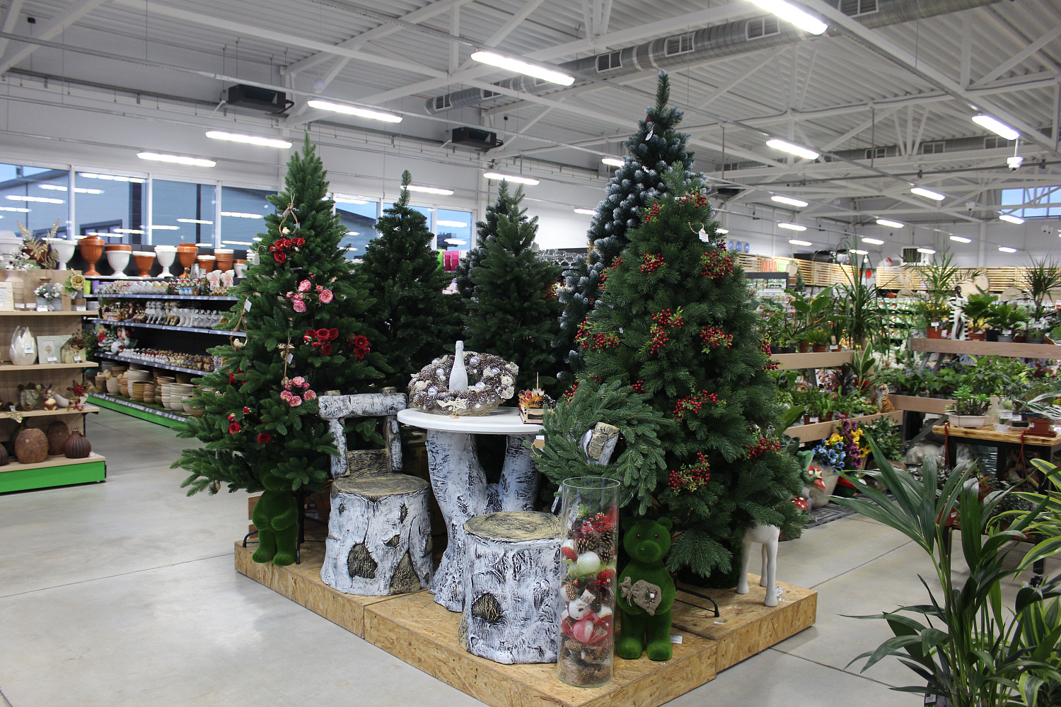 Новый год – 2022: как подружиться с чёрным водяным Тигром