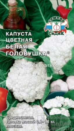 Капуста цветная Белая головушка (Седек)