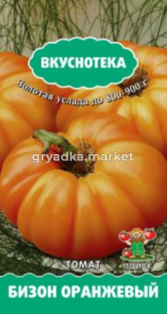Томат Бизон оранжевый -српозд,высокор- Поиск