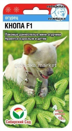 Огурец Кнопа F1 7шт Ранн (Сиб сад)