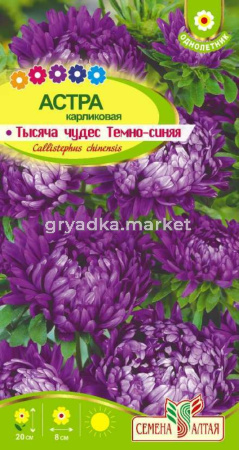Астра Тысяча чудес карликовая Темно-синяя 0.2г Одн 20см (Сем Алт)