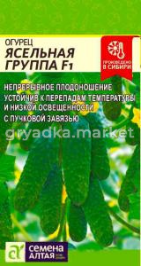 Огурец Ясельная Группа F1 5шт (Сем Алт)