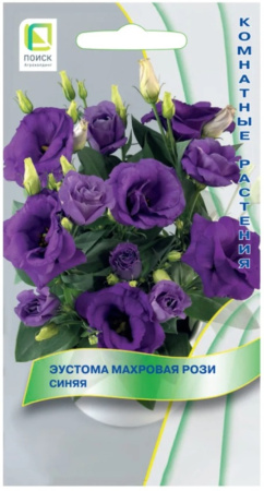 Эустома Рози Синяя махровая 5шт 20см (Поиск)
