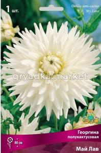 Скриншот 20-02-2025 142814