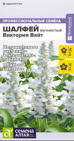 Шалфей Виктория Вайт мучнистый 10шт Одн 50см (Сем Алт)