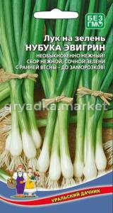 Лук на зелень Нубука Эвергрин 0,25г (УД)