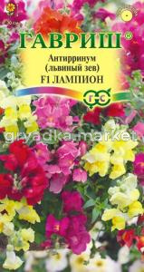 Львиный зев Лампион ,АМПЕЛЬ. 5шт Гавриш