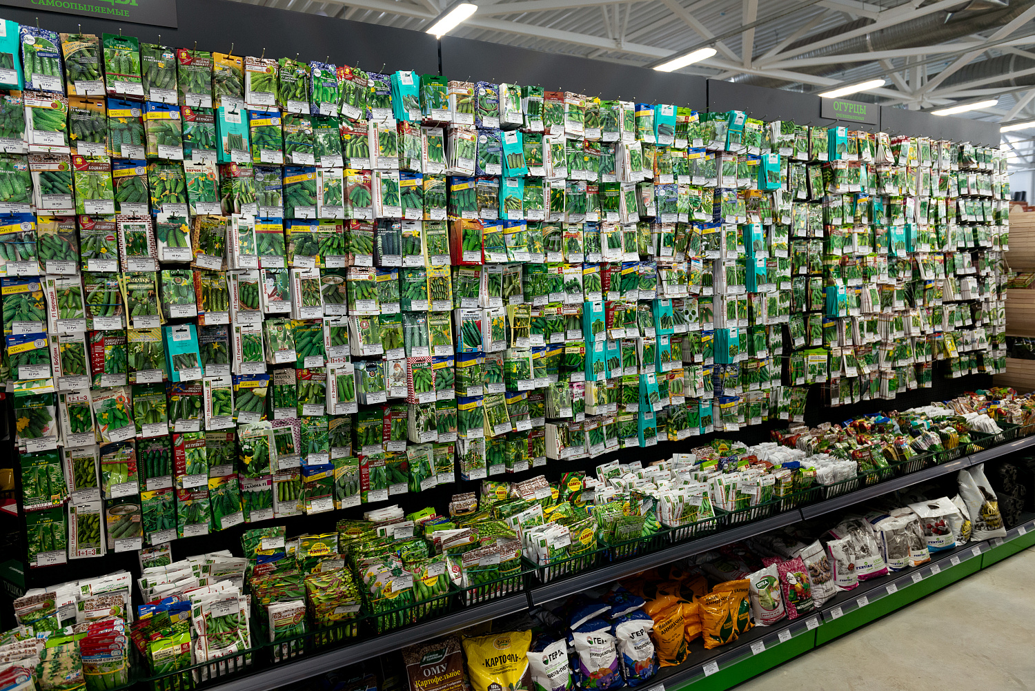 Как не обжечься при выборе семян?