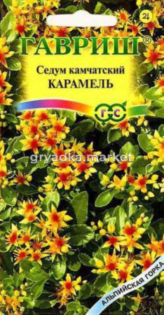 Седум Карамель камчатский 0,01г Альпийская горка