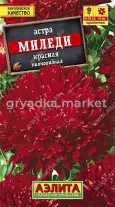 Астра Миледи красная Аэлита
