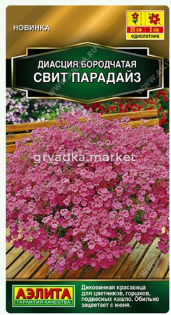 Диасция Свит парадайз 20шт Одн 25см (Аэлита)