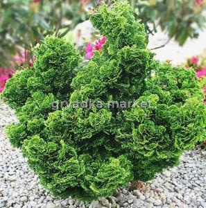 Скриншот 15-04-2026 144440