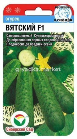 Огурец Вятский F1 7шт (Сиб сад)