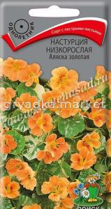 Настурция Аляска Золотая низкорослая 1г (Поиск)