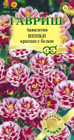 Аквилегия Винки красная с белым 5штГавриш Элит.кл.