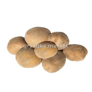 Картофель Пашутка (аналог сорта Гала) СрРан Элита 20кг-2