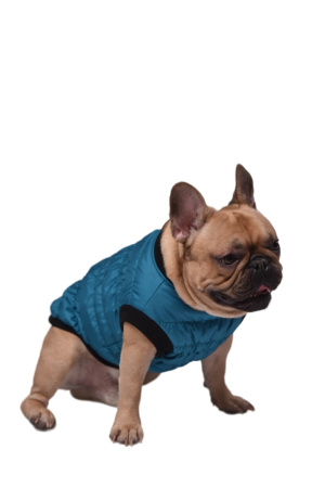 Безрукавка утепленая р-р L спинка 30см об.гр.42-50см морская волна-Трезор