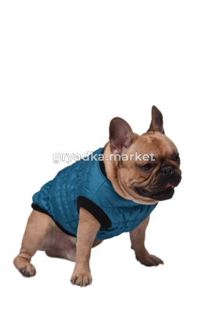 жил мор волна 1-Photoroom.png-Photoroom