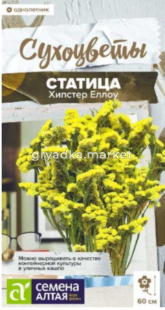 Статица Хипстер Еллоу 5 шт Одн 60см (Сем Алт) Сухоцветы