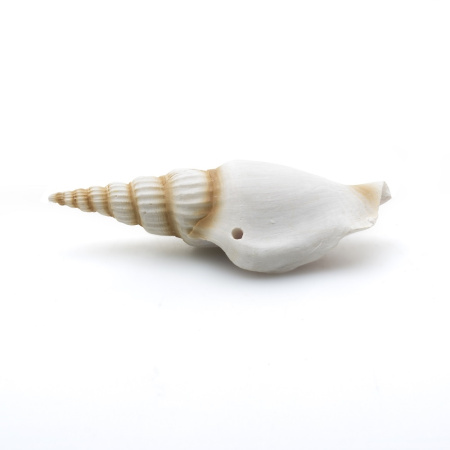Декорация пластиковая Prime Ракушка спиральная малая 7.5х2.5х2см