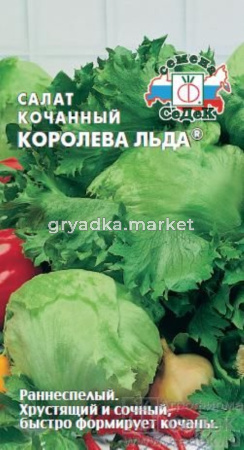 Салат Королева Льда (айсберг)® 0,5г. Седек
