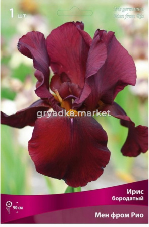 Ирис бородатый Мен фром Рио (тёмно-бордовый, 1шт, I)