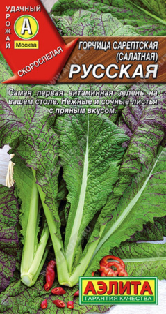 Горчица Русская салатная (Аэлита)