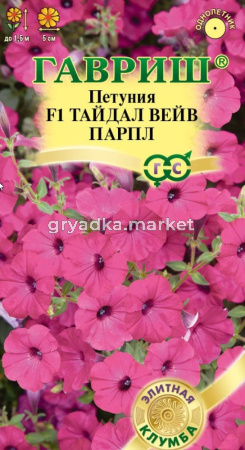 Петуния Тайдал Вейв парпл F1 (Минитуния) 4шт суперкаскад Одн (Гавриш) Элитная клумба