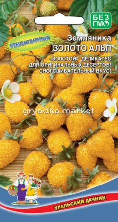 Земляника альпийская Золото альп (УД) (ремонтантный, 5-8 г)