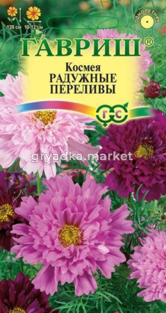 Космея Радужные переливы махровая 0,1г. Гавриш