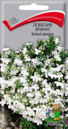 Лобелия Эринус Белый дворец 0,1г.КУСТОВАЯ Поиск