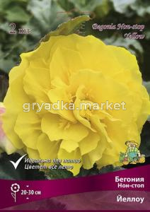 Бегония Нон-стоп Йеллоу (белый, 2шт, 4-5)