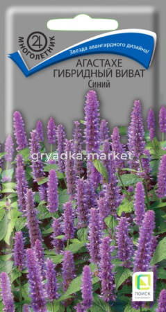 Агастахе Виват Синий гибридный 10шт (Поиск)