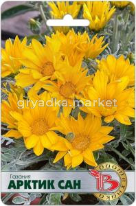 Газания Арктик Сан 7шт 20см (Биотехника)