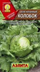 Салат Колобок кочан.Аэлита