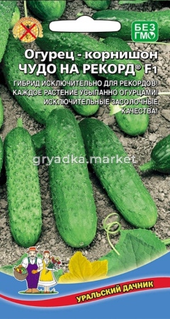 Огурец Чудо на Рекорд ® F1 6шт Парт Ранн (УД)