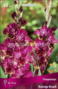 Гладиолус Колор Клаб (ярко-желтый, 10шт, 10-12)