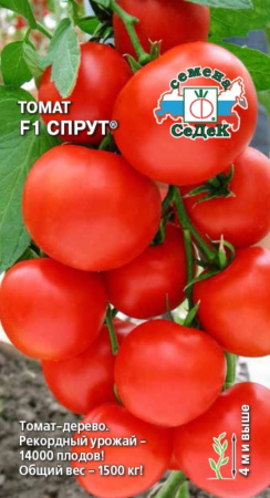 Томат Спрут F1 0,03г ,И.томат.дерево до160г. (Седек)