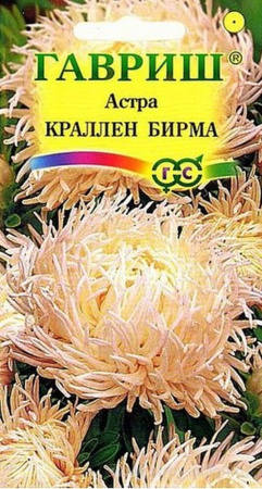 Астра Краллен Бирма кремово-белая круп 0,3г Гавриш