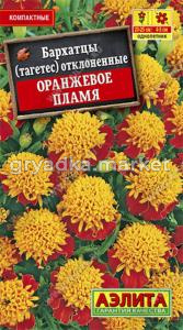 Бархатцы (Тагетес) Оранжевое пламя (Аэлита)