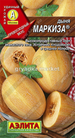 Дыня Маркиза (Аэлита)