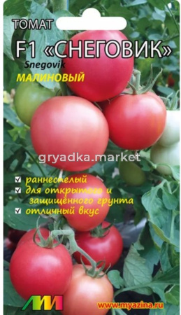 Томат Снеговик малиновый F1