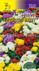 Хризантема Махровая Корейский букет Цвет.сад.