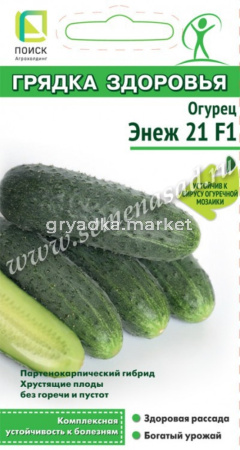 Огурец Энеж 21 F1 (сер.Грядка здоровья) (А) (ЦВ) 12шт (Поиск)