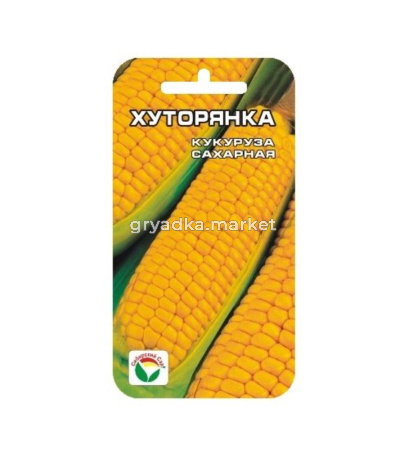 Кукуруза Хуторянка сахарная 6шт Ранн (Сиб сад)