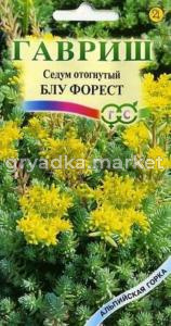 Седум Блу Форрест ,отогнутый 0,01г Альп. горка (д-цв.ковров)